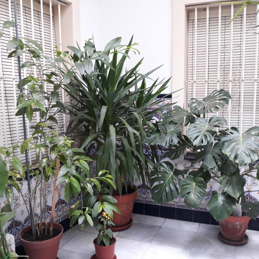 Atico Soleado Apartman Cádiz Kültér fotó