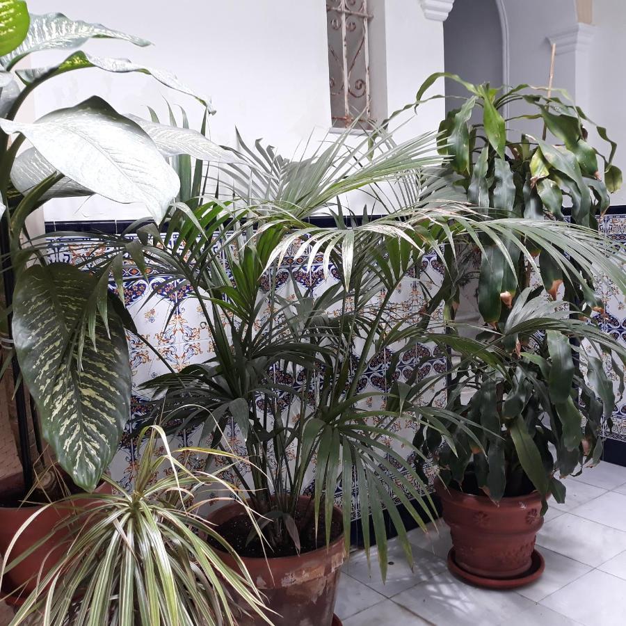Atico Soleado Apartman Cádiz Kültér fotó